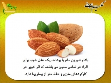 بادام مقوی مغز