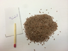 اسفرزه