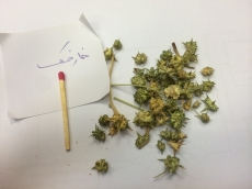 خارخسک