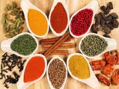 دوره مقدماتی طب سنتی ایران ( غیر فشرده )